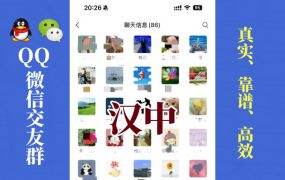 汉中-单身男女交友群①