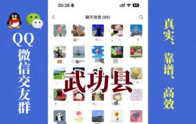 武功县-单身男女交友群①