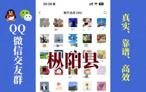 枞阳县-单身男女交友群①