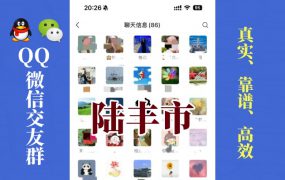 陆丰市-单身男女交友群①