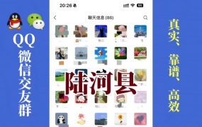 陆河县-单身男女交友群①