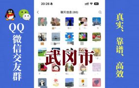 武冈市-单身男女交友群①