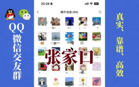 张家口-单身男女交友群①