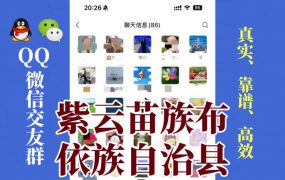 紫云苗族布依族自治县-单身男女交友群①