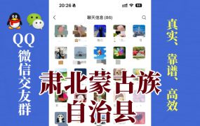 肃北蒙古族自治县-单身男女交友群①