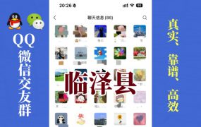 临泽县-单身男女交友群①