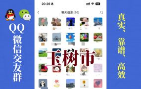 玉树市-单身男女交友群①