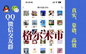 格尔木市-单身男女交友群①