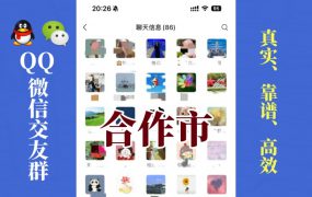 合作市-单身男女交友群①