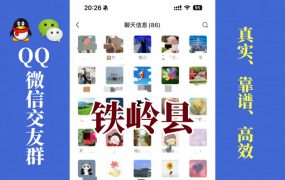 铁岭县-单身男女交友群①