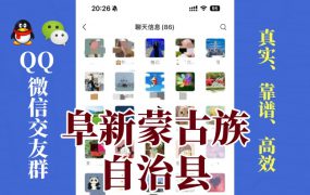 阜新蒙古族自治县-单身男女交友群①