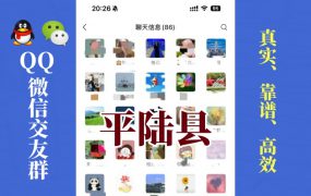 平陆县-单身男女交友群①