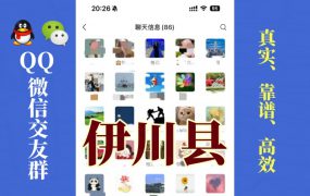 伊川县-单身男女交友群①