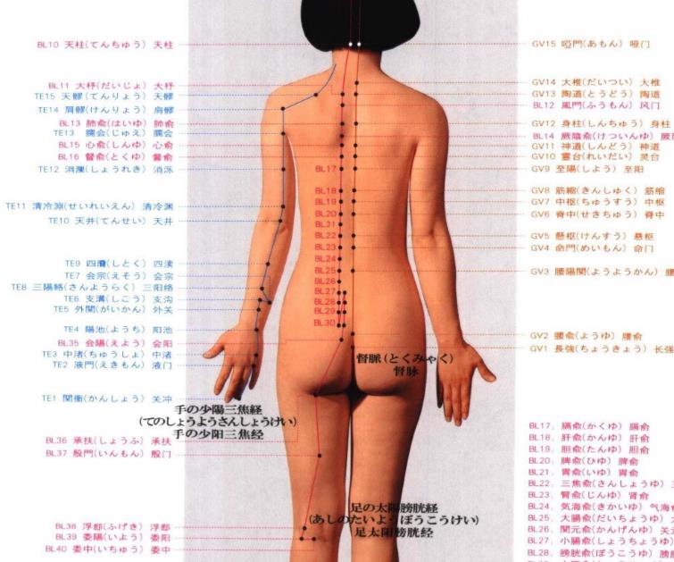 真人版针灸全身经穴图_女_日汉对照pdf版