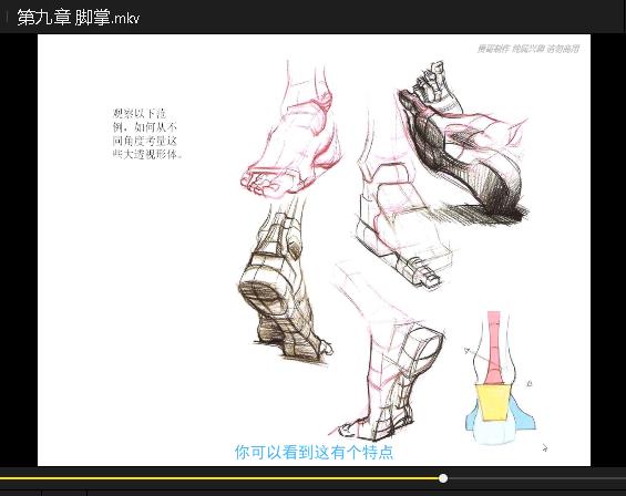 色彩与光线、人体结构、透视入门-9小时视频整合