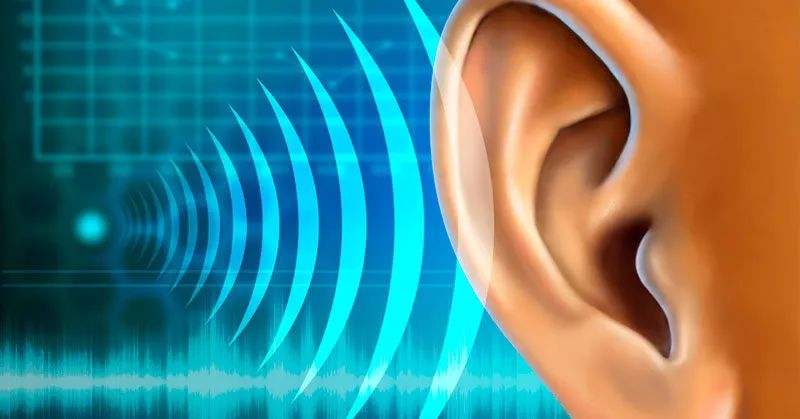 近20万个声音特效大全