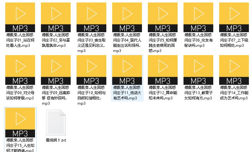 傅佩荣.人生困惑问庄子