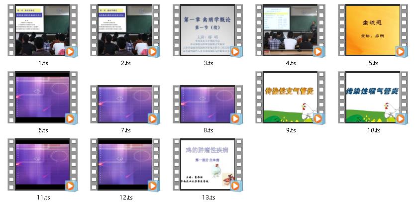 华南农大-禽病学 1-13讲
