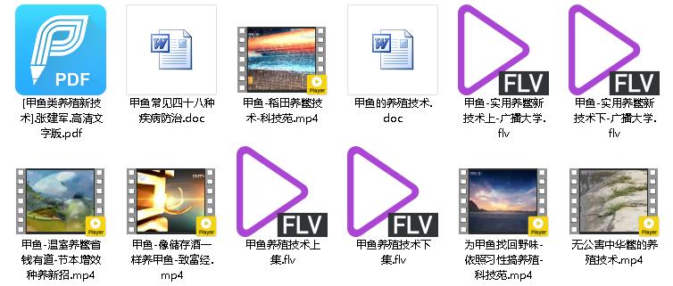 甲鱼养殖技术