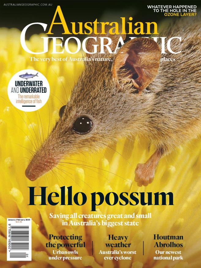 Australian Geographic – 澳大利亚地理杂志 – 2020年合集打包