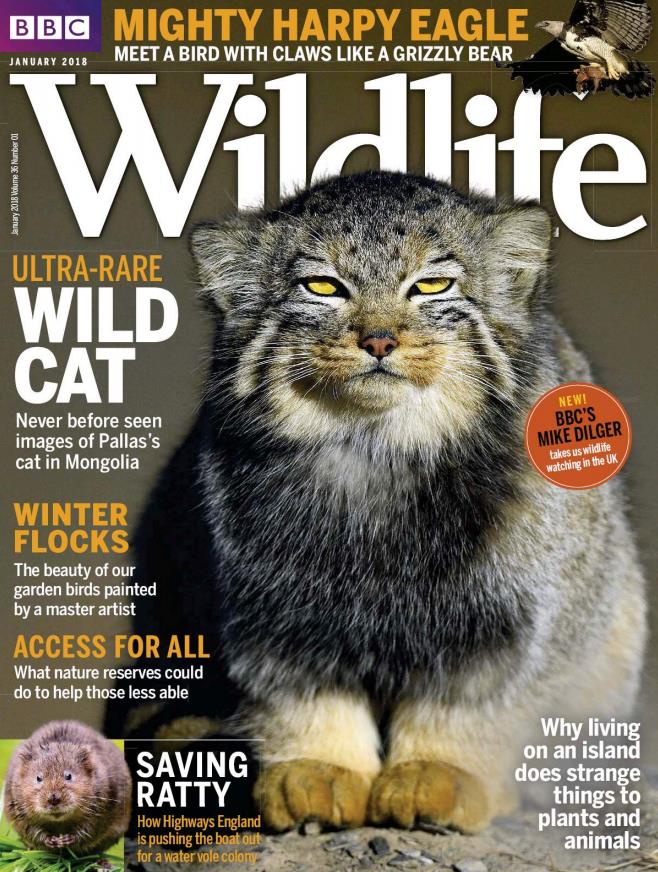 BBC Wildlife – BBC野生动物杂志 – 2018年合集打包