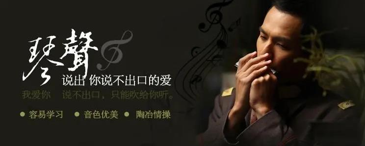 教程系列：口琴教程