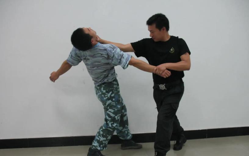 武术大全：军体拳特种兵搏击擒拿术全套视频教程