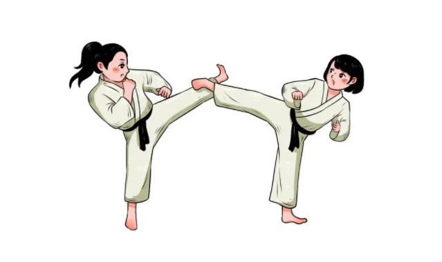 武术大全：柔道