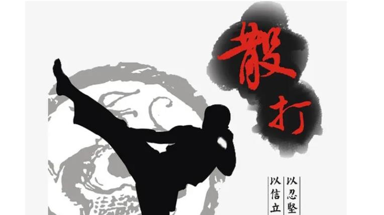 武术大全：散打