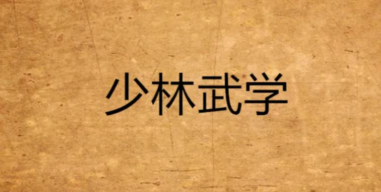 武术大全：少林武术