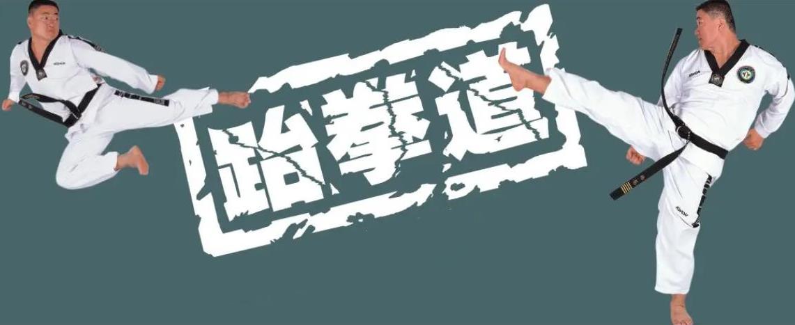武术大全：跆拳道教程
