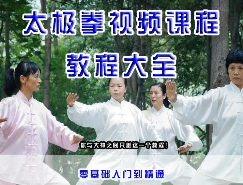 武术大全：太极拳教程
